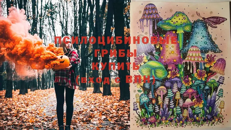 Псилоцибиновые грибы Cubensis  Озёрск 